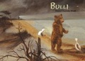 Cover: BULLI - M&ouml;venort Verlag