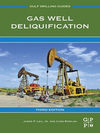 Abbildung von: Gas Well Deliquification - Gulf Professional Publishing