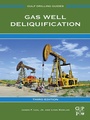 Cover: Gas Well Deliquification - Gulf Professional Publishing