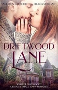 Cover: Driftwood Lane - Summer Storm Publishing, LLC