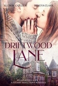 Cover: Driftwood Lane - Summer Storm Publishing, LLC