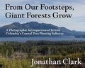 Cover: From Our Footsteps, Giant Forests Grow - DJ Bolivia Inc.