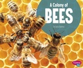 Cover: Animal Groups Colony of Bees - Capstone Press