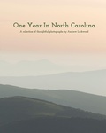 Cover: One Year In North Carolina - Blurb