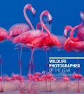 Cover: Wildlife Photographer of the Year: Highlights Volume 5 - The Natural History Museum