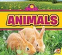 Cover: Animals - Av2