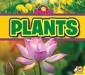 Cover: Plants - Av2
