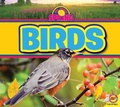 Cover: Birds - Av2