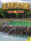 Cover: Beaver Dams - Av2