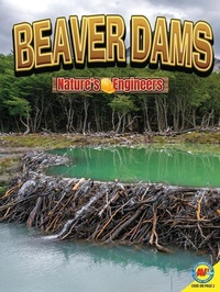 Enlarge image Cover: Beaver Dams - Av2