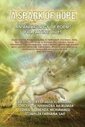 Cover: A Spark of Hope - ENVISION Business & Computer School Publishing