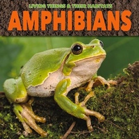 Enlarge image Cover: Amphibians - BookLife Publishing