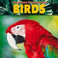 Enlarge image Cover: Birds - BookLife Publishing