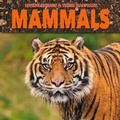 Cover: Mammals - BookLife Publishing