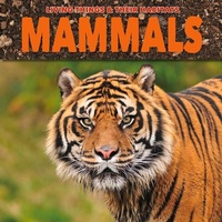 Enlarge image Cover: Mammals - BookLife Publishing