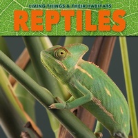 Enlarge image Cover: Reptiles - BookLife Publishing