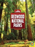 Cover: Redwood - Av2