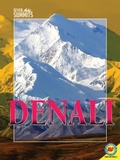 Cover: Denali - Av2