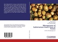 Cover: Management of Subterranean Insect Pests of Potato - LAP Lambert Academic Publishing