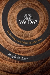 Enlarge image Cover: What Shall We Do? - Wipf and Stock Publishers