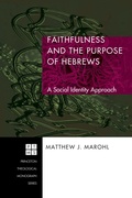 Cover: Faithfulness and the Purpose of Hebrews - Wipf and Stock Publishers