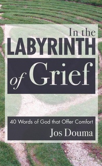 Enlarge image Cover: In the Labyrinth of Grief - Wipf and Stock Publishers
