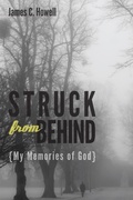 Cover: Struck from Behind - Wipf and Stock Publishers