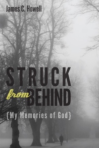 Enlarge image Cover: Struck from Behind - Wipf and Stock Publishers