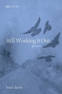 Cover: Still Working It Out - Wipf and Stock Publishers