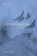 Cover: Still Working It Out - Wipf and Stock Publishers