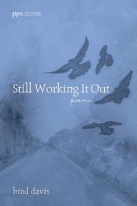 Enlarge image Cover: Still Working It Out - Wipf and Stock Publishers