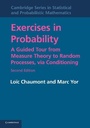 Cover: Exercises in Probability - Cambridge University Press