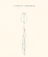 Enlarge image Cover: Ellsworth Kelly - Matthew Marks Gallery