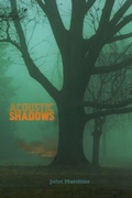 Cover: Acoustic Shadows - Shearsman Books