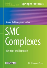 Abbildung von: SMC Complexes - Humana