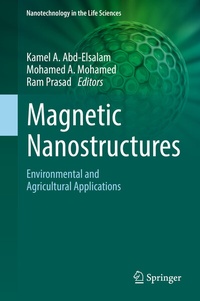 Abbildung von: Magnetic Nanostructures - Springer