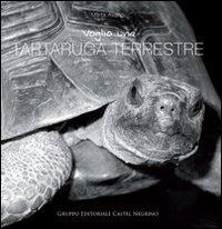 Abbildung von: Voglio una tartaruga terrestre - Pet-ology;Castel Negrino