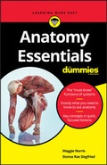Cover: Anatomy Essentials For Dummies - Wiley