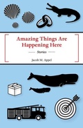Cover: Amazing Things Are Happening Here - Black Lawrence Press