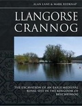Cover: Llangorse Crannog - Oxbow Books