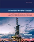 Cover: Well Productivity Handbook - Gulf Professional Publishing