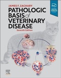 Bild: Pathologic Basis of Veterinary Disease - Mosby
