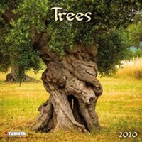 Enlarge image Cover: Trees 2020 - Tushita PaperArt GmbH