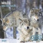Cover: Wolves/Wölfe 2020 - Tushita PaperArt GmbH