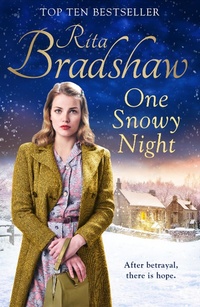 Abbildung von: One Snowy Night - Macmillan