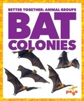 Cover: Bat Colonies - Pogo Books