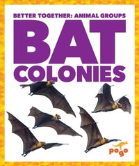 Enlarge image Cover: Bat Colonies - Pogo Books