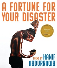 Enlarge image Cover: A Fortune for Your Disaster - Zando