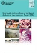 Cover: Field guide to the culture of tambaqui (Colossoma macropomum, Cuvier, 1816) - Food & Agriculture Organization of the United Nations (FAO)