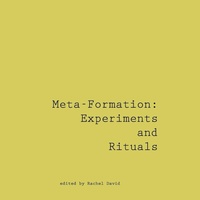Enlarge image Cover: Meta-Formation - Lulu.com